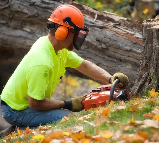 tree services West Carthage